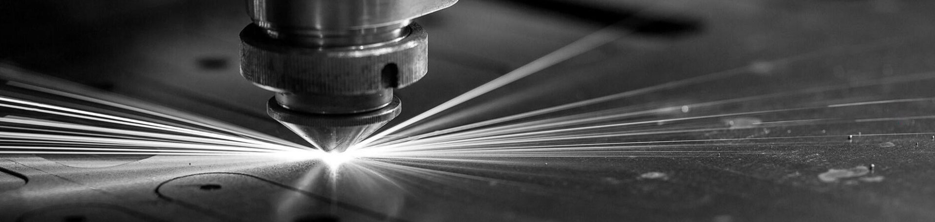 浙江金蛹科技有限公司