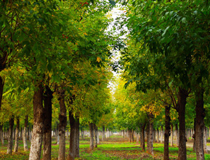 浙江金蛹科技有限公司