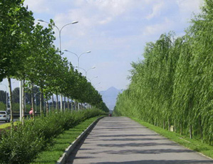 浙江金蛹科技有限公司